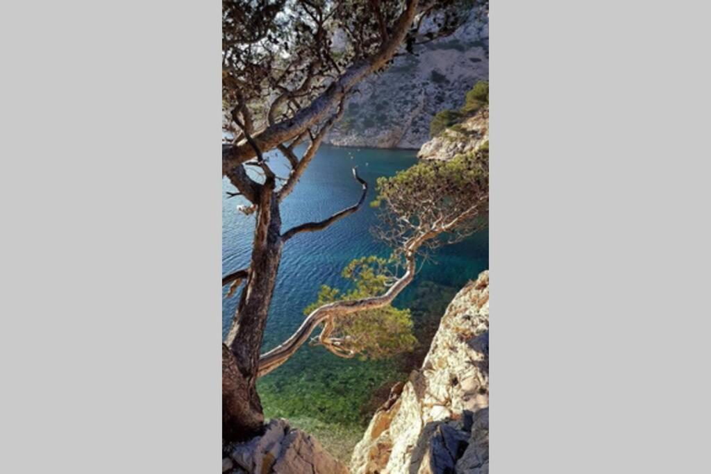 Suite Sur La Mer Marseille Corniche Экстерьер фото